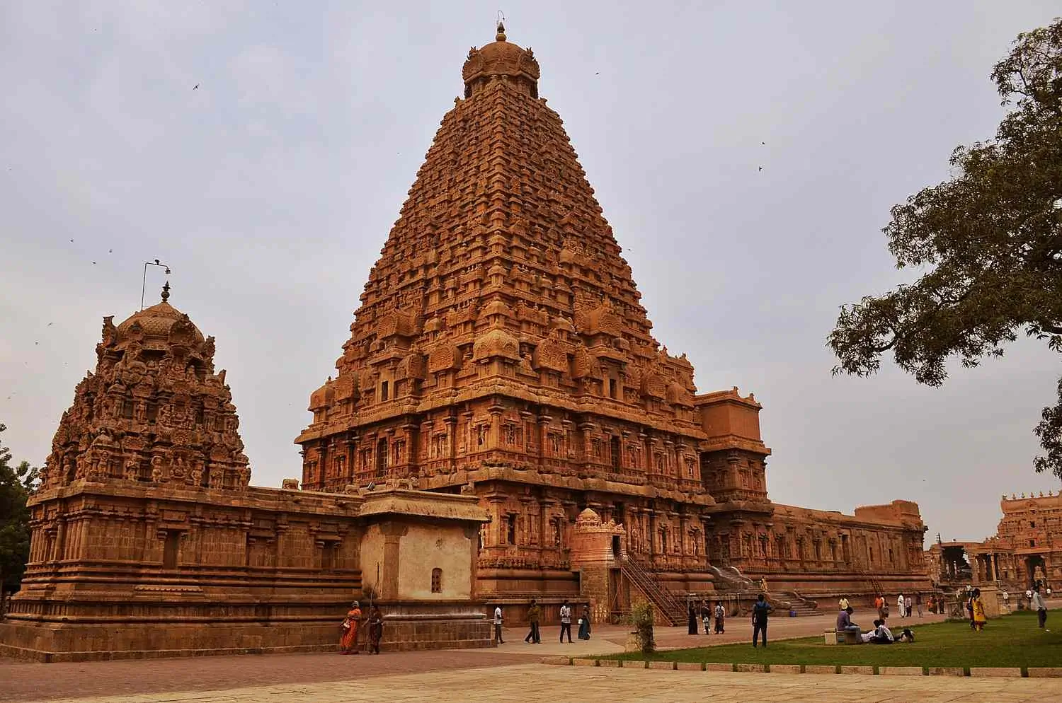 Packers and Movers in Tamil Nadu